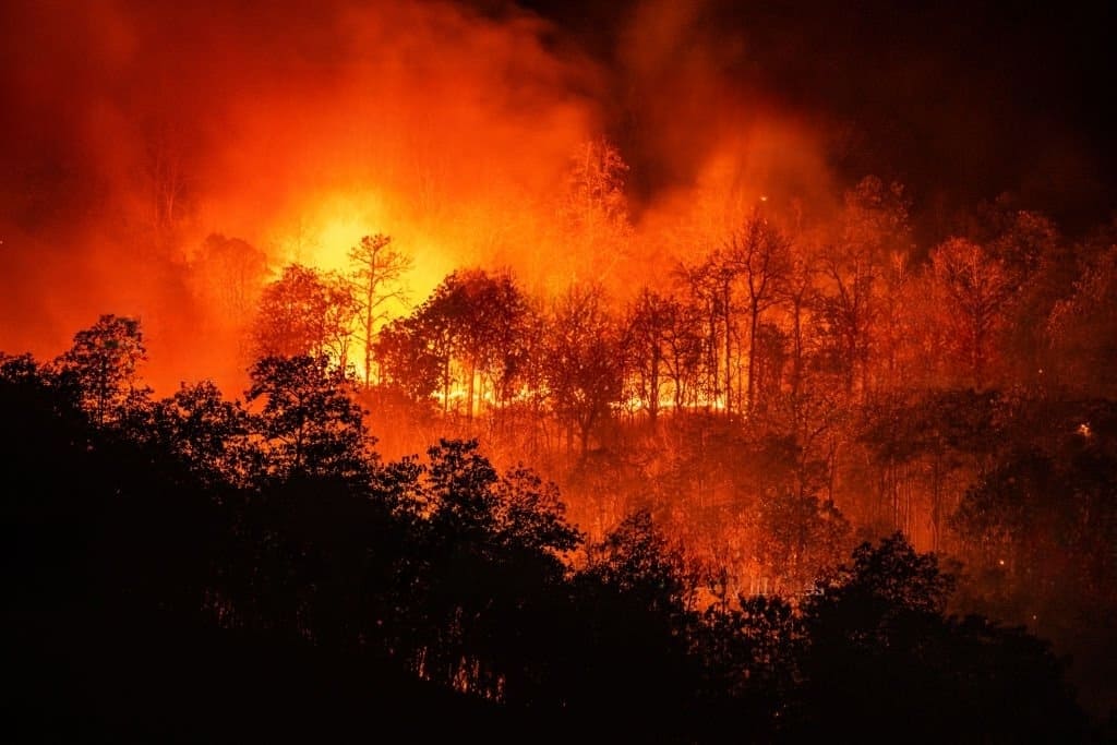 Mudanças climáticas radicais